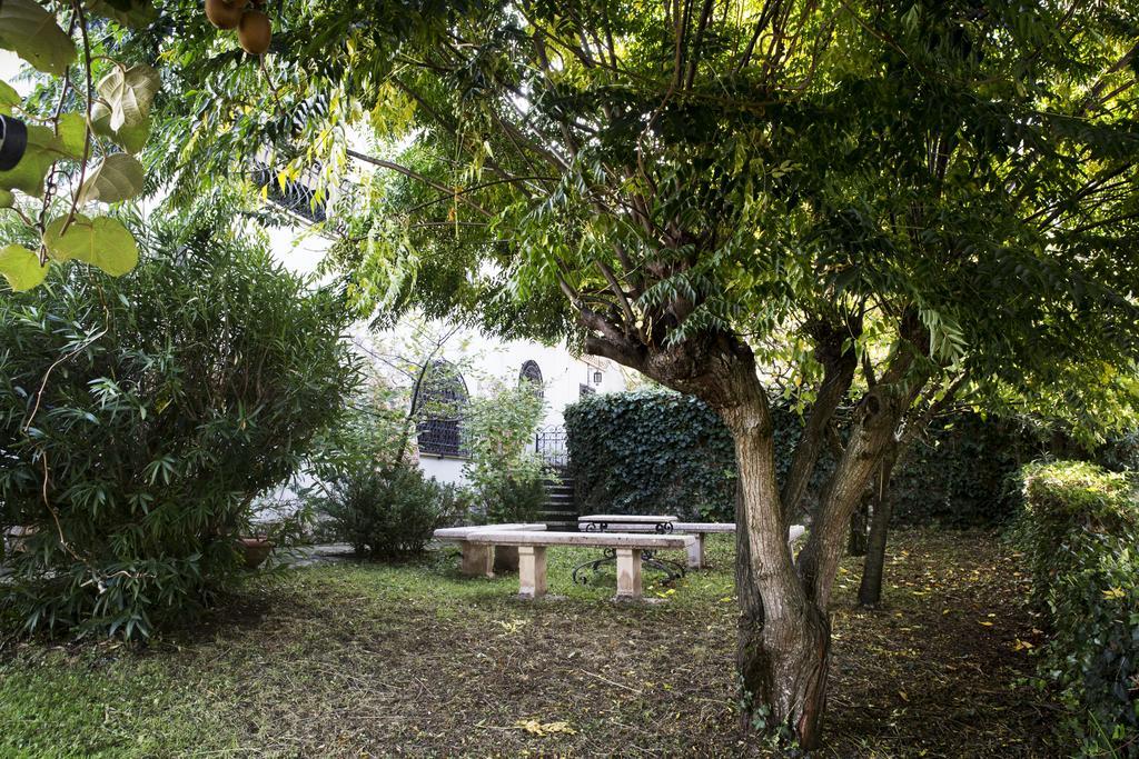 Il Pettirosso B&B Grottaferrata Exterior foto
