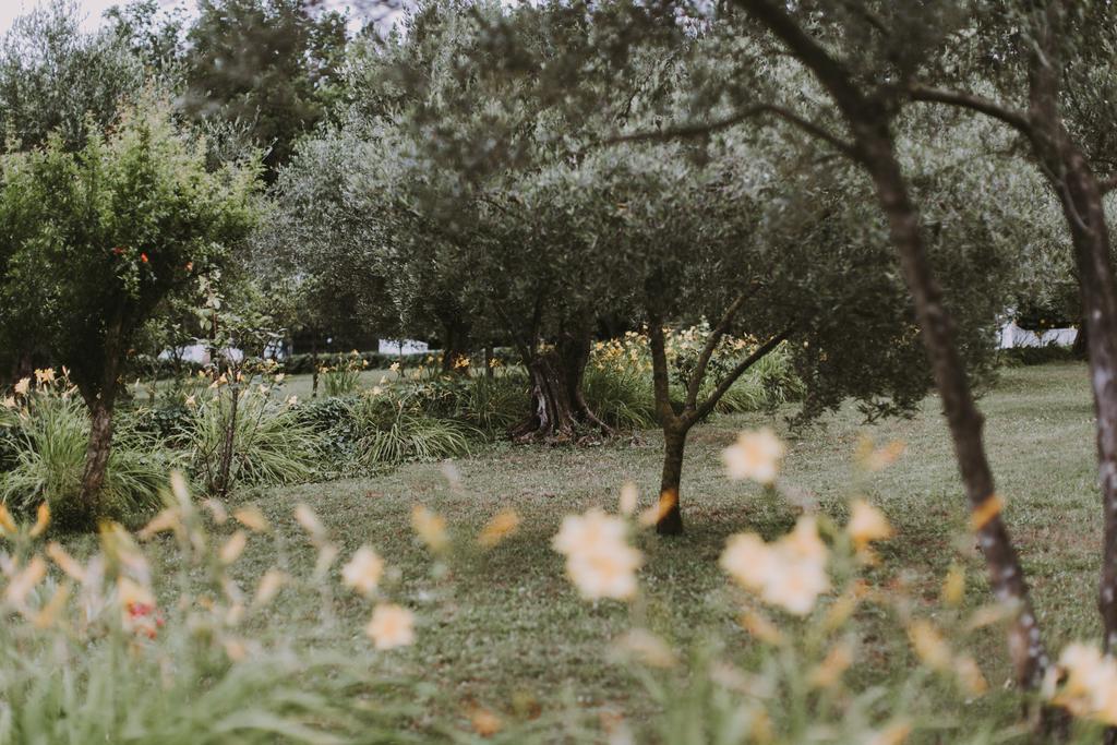 Il Pettirosso B&B Grottaferrata Exterior foto