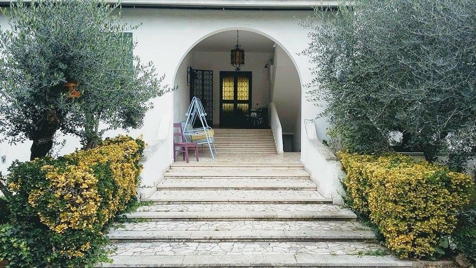 Il Pettirosso B&B Grottaferrata Exterior foto