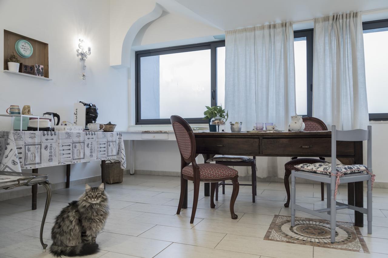 Il Pettirosso B&B Grottaferrata Exterior foto